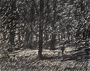 Alone in woods in clearing